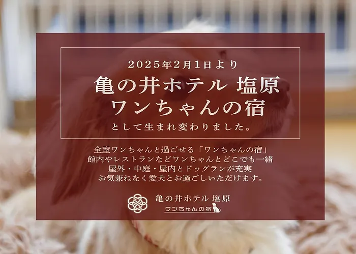 Kamenoi Hotel Shiobara Dog Friendly Hotel