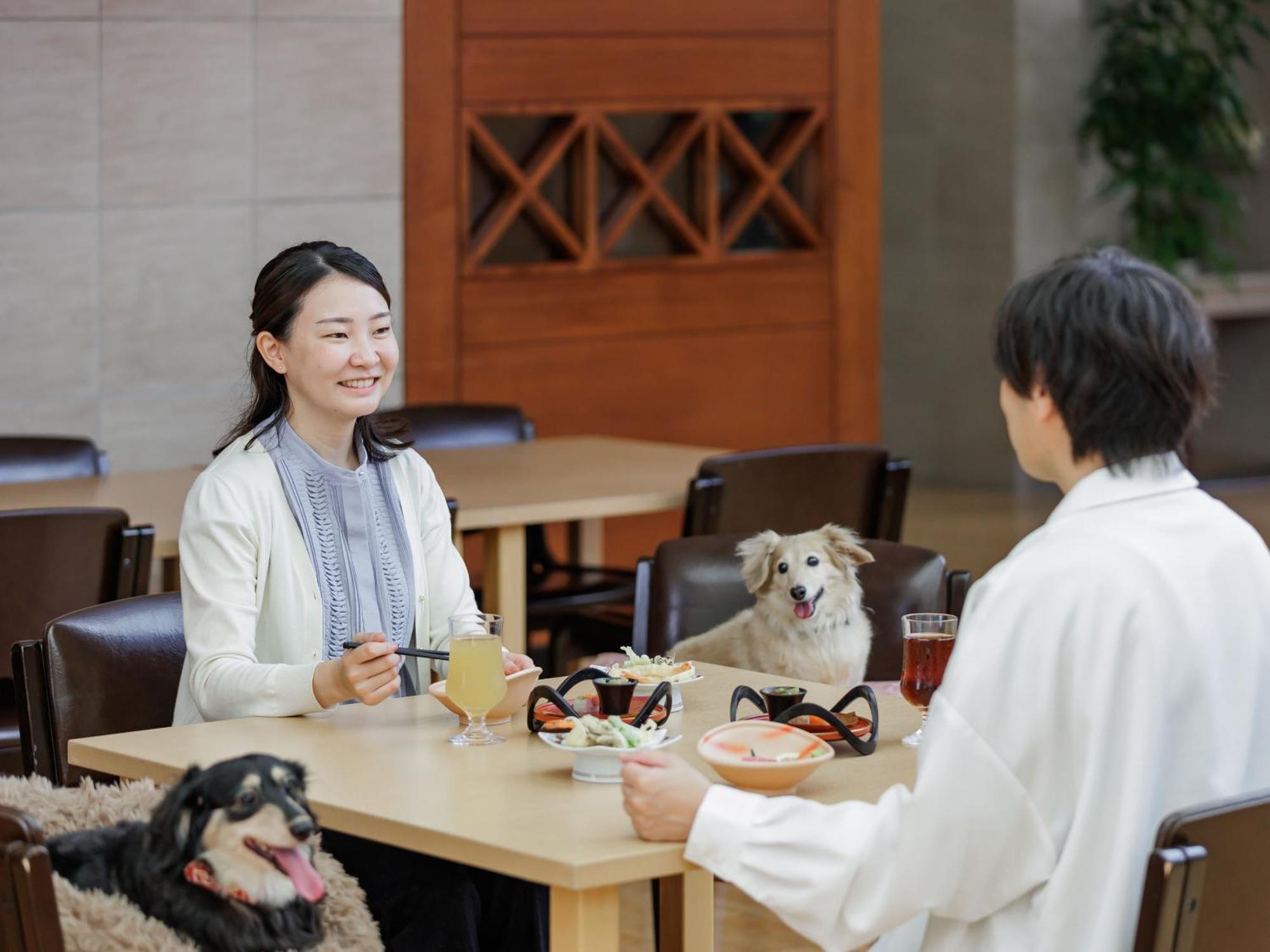 Kamenoi Shiobara Dog Friendly Ryokan