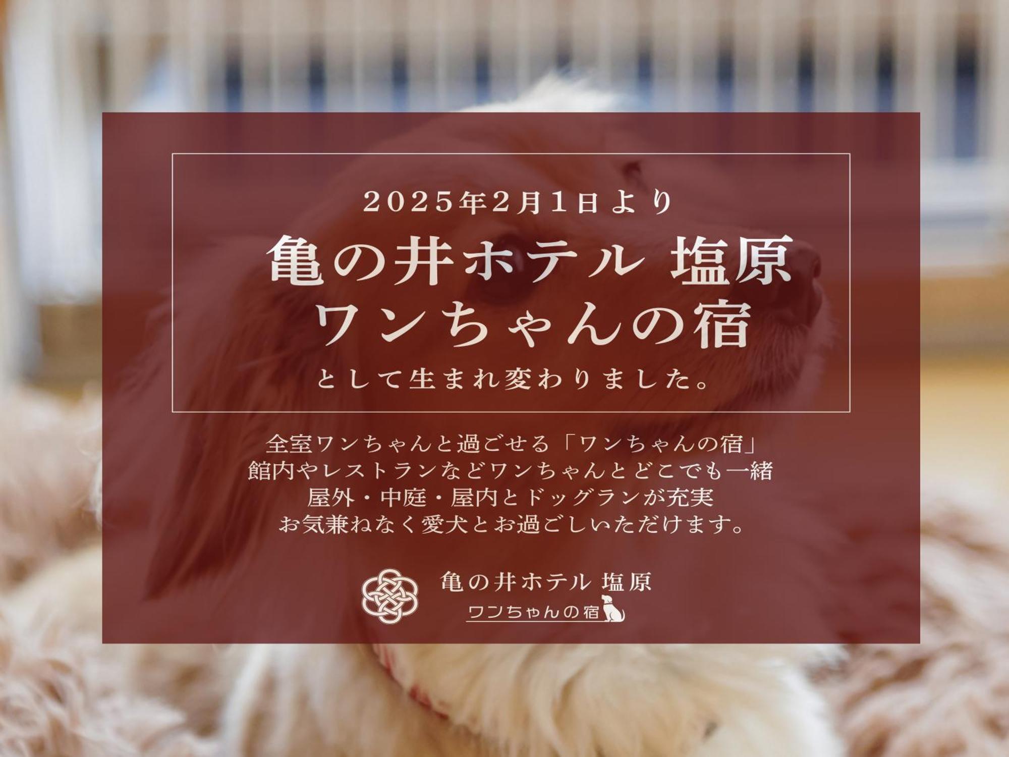 Kamenoi Shiobara Dog Friendly Nasushiobara