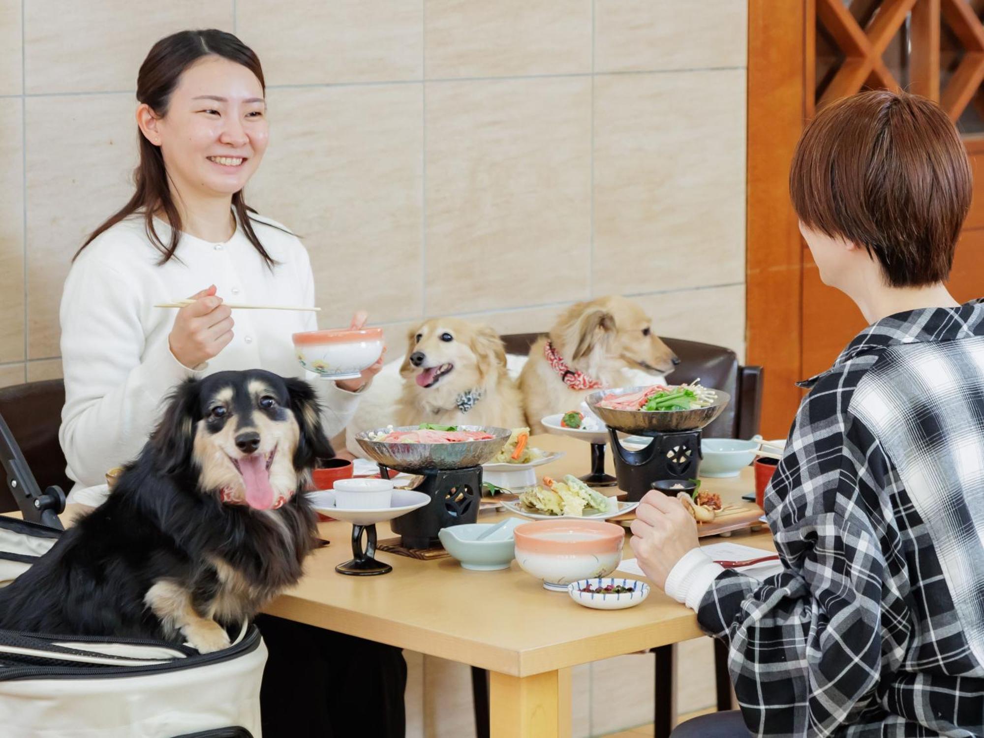 Ryokan Kamenoi Shiobara Dog Friendly Nasushiobara